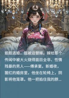 快手热文替嫁老公，我反手送他白月光入狱傅承宴沈清浅小说推荐-二筒文学网