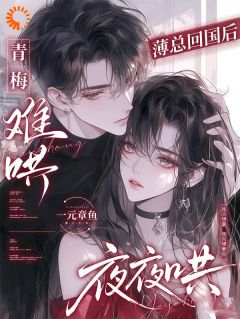 精品小说青梅难哄，薄总回国后夜夜哄全文目录畅读