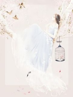 （全本）春色晚来慰寒冬主角商念慈席南禹全文目录畅读