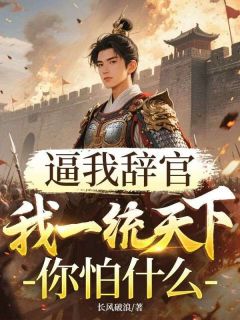 岳子龙苏如烟是哪部小说的主角 逼我辞官，我一统天下你怕什么全文无弹窗