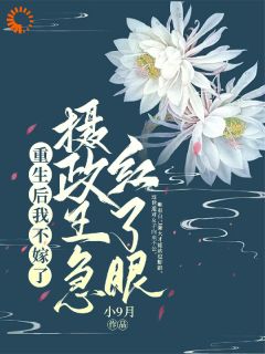 老书虫力荐我不嫁你了，你急啥免费无弹窗阅读-二筒文学网