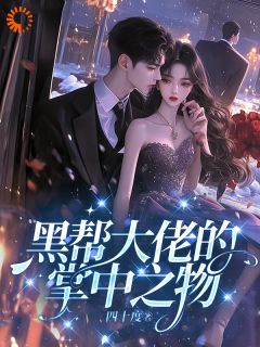 抖音小说黑帮大佬的掌中之物主角叶初沈银赫全文小说免费阅读