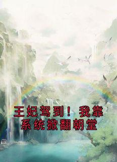 主角是卫芸芸宋宜的王妃驾到！我靠系统掀翻朝堂抖音热门小说-二筒文学网