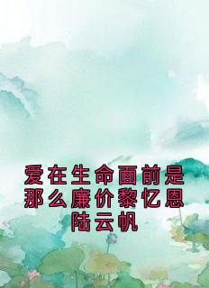 爱在生命面前是那么廉价黎忆恩陆云帆最新章节 黎忆恩陆云帆全文阅读