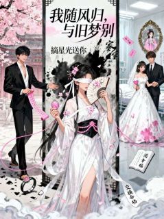 小说推荐我随风归，与旧梦别完结版全章节阅读-二筒文学网