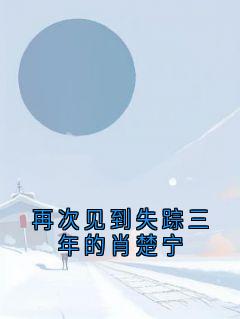 再次见到失踪三年的肖楚宁(新书)小说_肖楚宁江月阅读