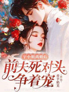 宁小姐离婚后，前夫死对头争着宠免费阅读全文，主角宁茗欢宋逸臣小说完整版最新章节