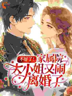 宋念栀徐奕承小说章节目录阅读-不好了！家属院大小姐又闹离婚了在哪免费看