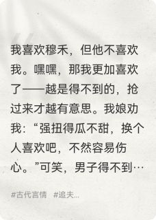 抢过来的夫君，我天天对他强制爱穆禾苏芮小说_抢过来的夫君，我天天对他强制爱完结版阅读-二筒文学网