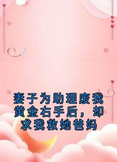 妻子为助理废我黄金右手后，却求我救她爸妈知乎小说最新章节阅读-二筒文学网