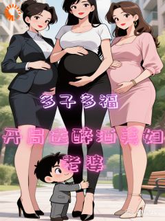 张彬夏海多子多福，开局送醉酒美妇老婆全章节免费阅读