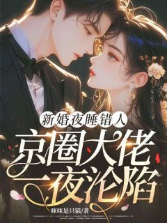 全章节小说新婚夜睡错人，京圈大佬一夜沦陷咪咪是只猫最新阅读