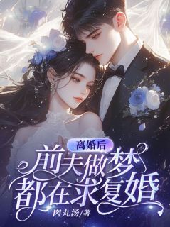 无广告小说离婚后，前夫做梦都在求复婚-秦芷漓盛淮安在线阅读