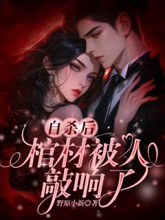 自杀后，棺材被人敲响了陆时苏林免费阅读-自杀后，棺材被人敲响了玖日故事小说