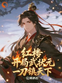 抖音小说贾环贾宝玉贾环贾宝玉无弹窗试读