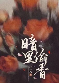 暗里偷香全本小说（暗里偷香）全文阅读-二筒文学网