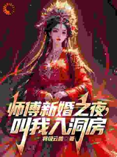 免费完结小说师傅新婚之夜，叫我入洞房林萧梅长风无弹窗免费阅读-二筒文学网