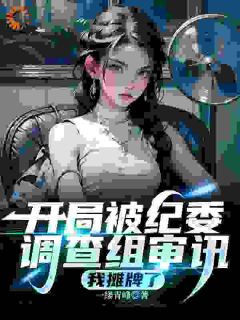 开局被纪委调查组审讯，我摊牌了小说杨澈童镇岳最新章节阅读-二筒文学网