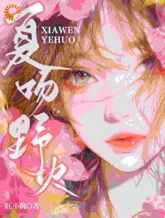 夏吻野火夏星觅沈望野小说完整在线阅读