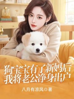 陈凯衍元宝苏晴晴八月有凉风小说全章节最新阅读