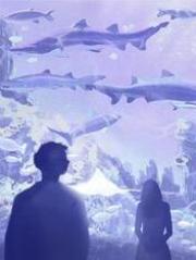 木千写的小说妻子为白月光盗走我的百亿商业机密梁雨鸢金凡沈津言全文阅读