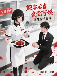 抖音小说毁容后当食堂阿姨，前任跪求复合，主角程彻陈知梦最后结局小说全文免费