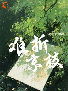 主角沈清衍周淮北小说爆款难折京枝完整版小说