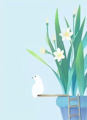 赵晴陈启元林铮严结局是什么 赵晴陈启元林铮严免费阅读全文-二筒文学网