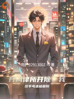 无弹窗小说开局律所开除？我反手考进检察院 作者用户32913002-二筒文学网
