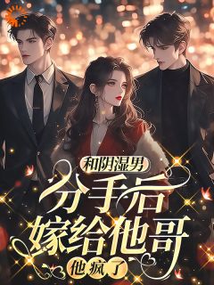 苏晚傅斯年全章节阅读-和阴湿男分手后嫁给他哥，他疯了全文分享阅读-二筒文学网