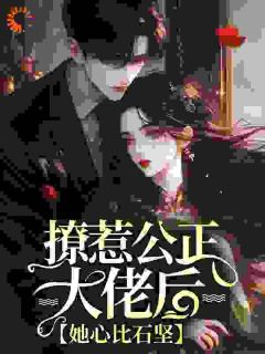 抖音爆款撩惹公正大佬后，她心比石坚小说免费阅读-二筒文学网