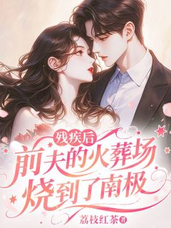 精品小说残疾后，前夫的火葬场烧到了南极全文目录畅读