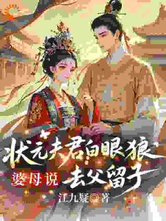 优质新书婆母一怒，状元夫君跪求复合最新章节小说全文阅读