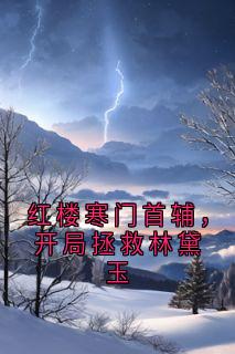 老书虫力荐红楼寒门首辅，开局拯救林黛玉免费无弹窗阅读-二筒文学网