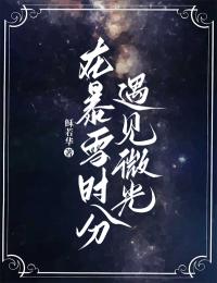 在暴雪时分遇见微光无广告阅读 林曦微陆三省免费在线阅读