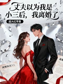 主角陆怀瑾江媛媛小说完整版最新章节-丈夫以为我是小三后，我离婚了免费阅读全文