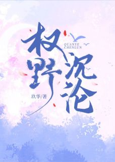 权野沉沦主角是棠梨慕修止小说百度云全文完整版阅读