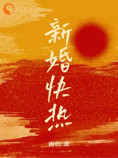 新婚快热小说_新婚快热小说结局阅读