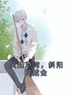 好文热推小说风起芦湾，斜阳碎成金主角林湘苏城全文在线阅读