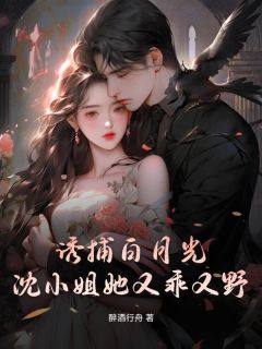 诱捕白月光，沈小姐她又乖又野章节全目录 沈时雨梁颂安全文免费阅读