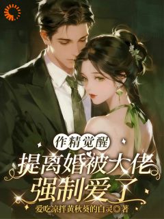 作精觉醒，提离婚被大佬强制爱了无广告阅读 许禾晚陆峥年免费在线阅读-二筒文学网