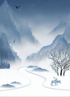 主角是沈烨林晚清的雪落时爱已归零抖音热门小说