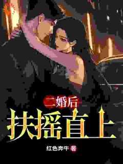 二婚后扶摇直上（全本）孙明袁成东完整章节列表免费阅读