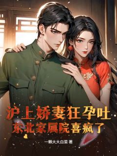 沪上娇妻狂孕吐，东北家属院喜疯了！姜晚秋赵文昌无广告在线阅读-二筒文学网