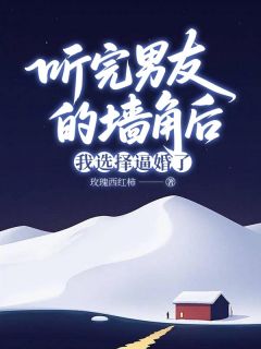 玫瑰西红柿写的小说听完男友的墙角后，我选择逼婚了程野林筱全文阅读-二筒文学网