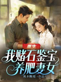 重生：我赌石鉴宝养肥妻女(沈浩王红梅)全文完整版阅读