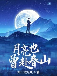 【月亮也曾赴春山】主角(宋晨宇贺清月)在线阅读-二筒文学网