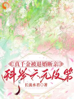 主角陆昭陆婉婉的小说作者长流水君