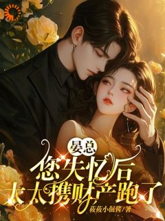 晏绍南桑酒小说<晏总，您失忆后，太太携财产跑了>全文在线阅读-二筒文学网