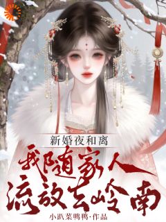 新婚夜和离，我随家人流放去岭南小说(完结)-萧珩沈颂宜章节阅读-二筒文学网